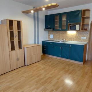 Pronájem bytu 1+kk, garsoniery 19 m² Valašské Meziříčí