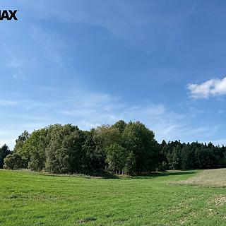 Prodej lesa 12 651 m² Dlouhý Újezd