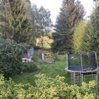 Prodej zahrady 1 245 m² Stříbro Těchlovice