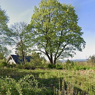 Prodej stavební parcely 916 m² Tři Sekery