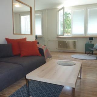 Pronájem bytu 3+1 53 m² Most, Jana Kubelíka