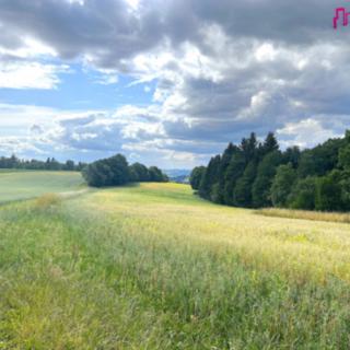 Prodej zemědělské půdy 26 825 m² Benecko Mrklov