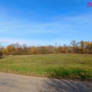 Prodej komerčního pozemku 8 784 m² Gruna