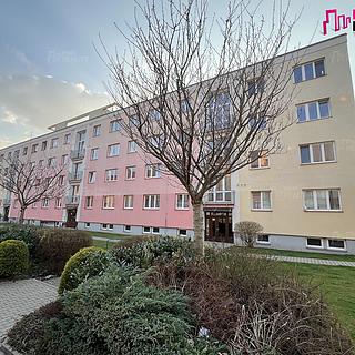 Pronájem bytu 3+1 57 m&sup2; Kostelec nad Orlicí