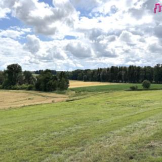 Prodej louky 16 663 m² Rychnov nad Kněžnou