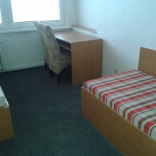 Pronájem bytu 1+1 14 m² České Budějovice