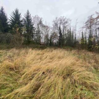 Prodej zahrady 1 589 m² Potěhy