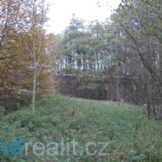 Prodej ostatního pozemku 3 946 m² Český Těšín