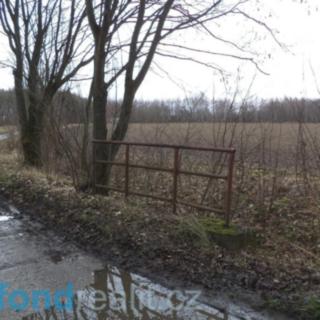 Prodej zemědělské půdy 500 m² Dobrovice Chloumek