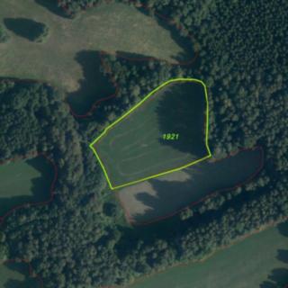 Prodej ostatních pozemků 10593 m² Sobotín