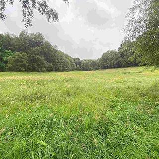 Prodej ostatního pozemku 1 500 m² Úterý Vidžín