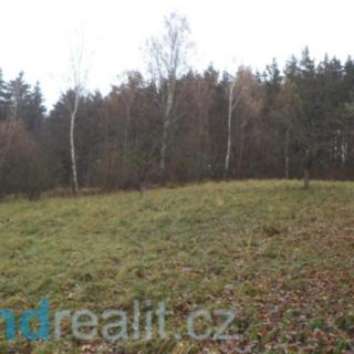 Prodej zemědělské půdy 20 225 m² Zdíkov Branišov