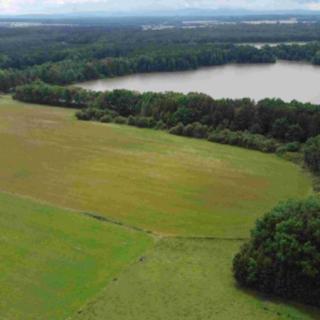 Prodej ostatního pozemku 23 395 m² Třeboň Branná