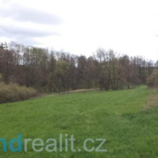 Prodej zemědělské půdy 55 727 m² Tachov Vilémov