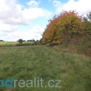 Prodej zemědělské půdy 26 108 m² Habartice Háj