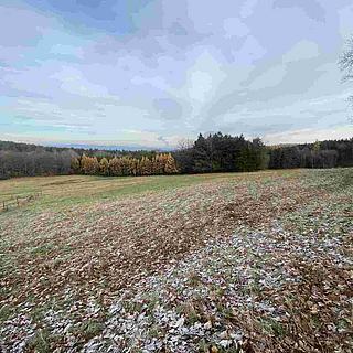 Prodej zemědělské půdy 2 312 m² Stožice Křepice