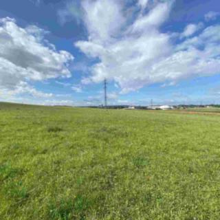 Prodej ostatního pozemku 6 616 m² Dobruška