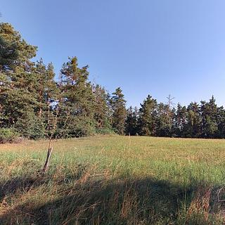 Prodej zemědělské půdy 1 236 m² Nihošovice