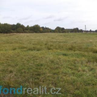 Prodej zemědělské půdy 30010 m² Nová Ves nad Lužnicí