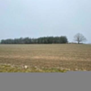 Prodej zemědělské půdy 10514 m² Slatina