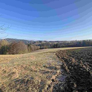 Prodej zemědělské půdy 28 066 m² Semily Spálov