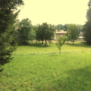 Prodej ostatního pozemku 5 224 m² Pěčín