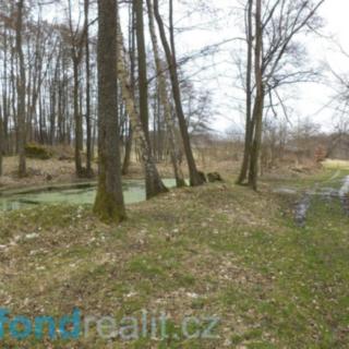 Prodej stavební parcely 1 252 m² Dolní Nivy Horní Rozmyšl