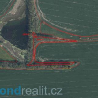 Prodej zemědělské půdy 5 047 m² Tachov Vilémov