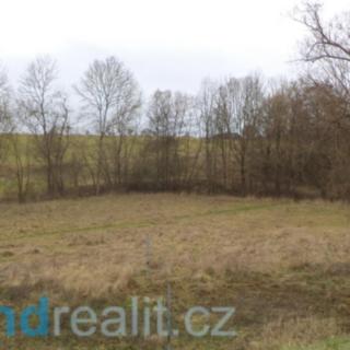 Prodej ostatního pozemku 10 004 m² Stod Lelov