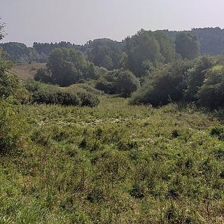 Prodej zemědělské půdy 34 244 m² Úterý