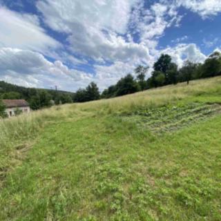 Prodej ostatních pozemků 1000 m² Šarovy