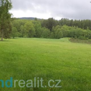 Prodej zemědělské půdy 2623 m² Lodhéřov