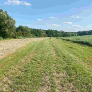 Prodej zemědělské půdy 250 m² Oldřichovice
