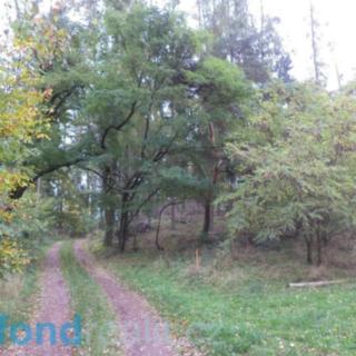 Prodej ostatního pozemku 2 376 m² Lázně Bělohrad Uhlíře