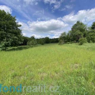 Prodej ostatních pozemků 7893 m² Slavonice