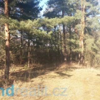 Prodej ostatních pozemků 10115 m² Nová Ves nad Lužnicí