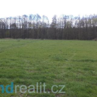 Prodej zemědělské půdy 69 579 m² Tachov
