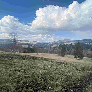 Prodej zemědělské půdy 930 m² Bartošovice v Orlických horách