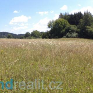 Prodej zemědělské půdy 13 471 m² Přídolí Všeměry