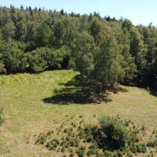 Prodej zemědělské půdy 36 470 m² Strašín Maleč
