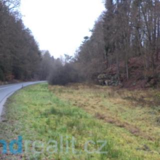 Prodej ostatního pozemku 2 590 m² Doksy Žďár