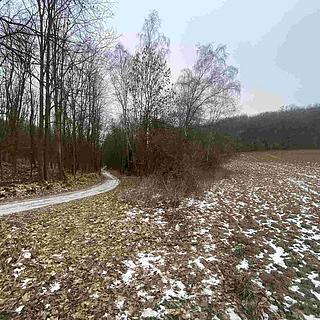 Prodej ostatního pozemku 679 m² Karlštejn