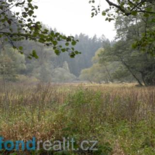 Prodej zemědělské půdy 42 411 m² Kladruby Milevo