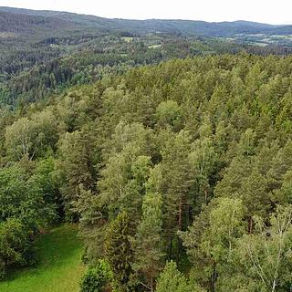 Prodej ostatních pozemků 1798 m² Rejštejn