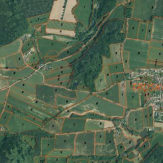 Prodej zemědělské půdy 1 577 m² Truskovice