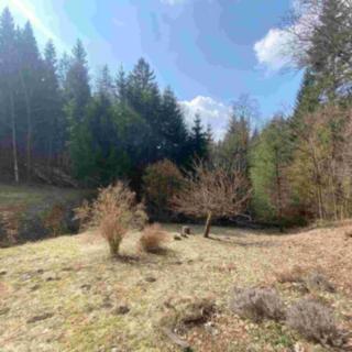 Prodej ostatního pozemku 858 m² Rokytnice v Orlických horách