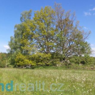Prodej ostatních pozemků 319 m² Číměř
