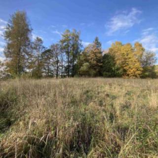 Prodej stavební parcely 3 207 m² Králíky Horní Lipka