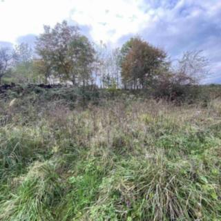 Prodej stavební parcely 1691 m² Javorník