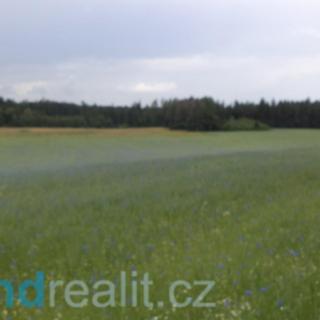 Prodej zemědělské půdy 19541 m² Číměř